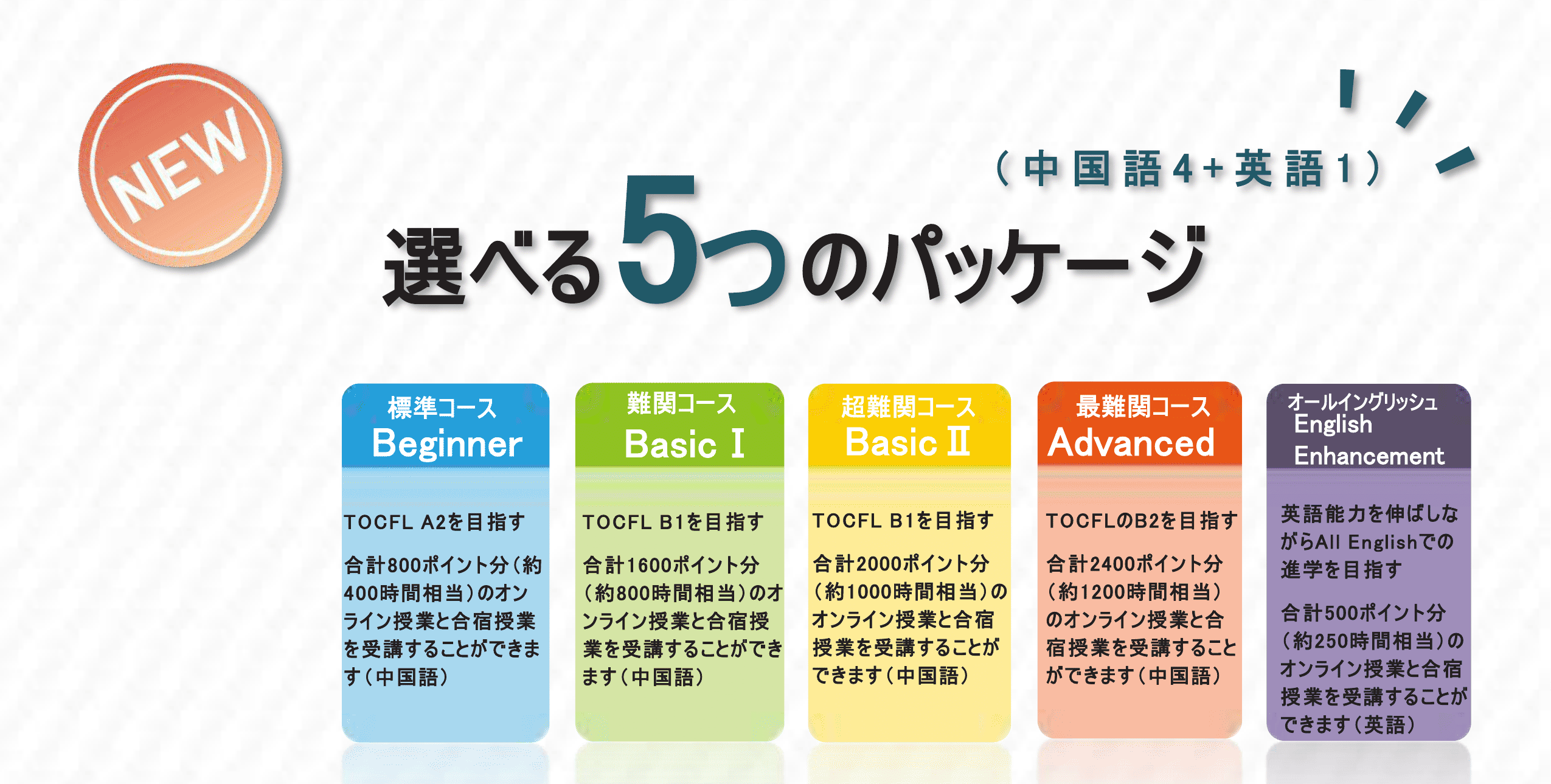 パッケージ料金のご案内